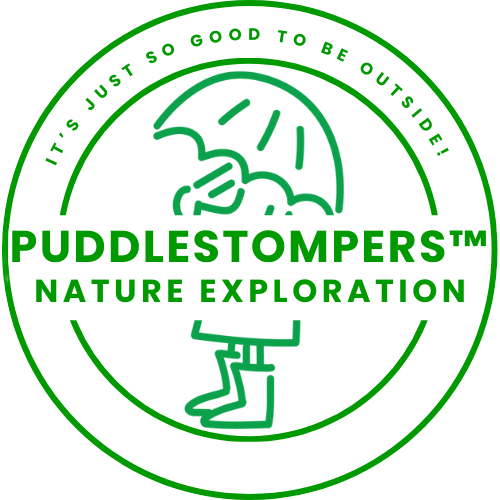 PUDDLESTOMPERSNew Logo 2024 - Melissa Roberts
